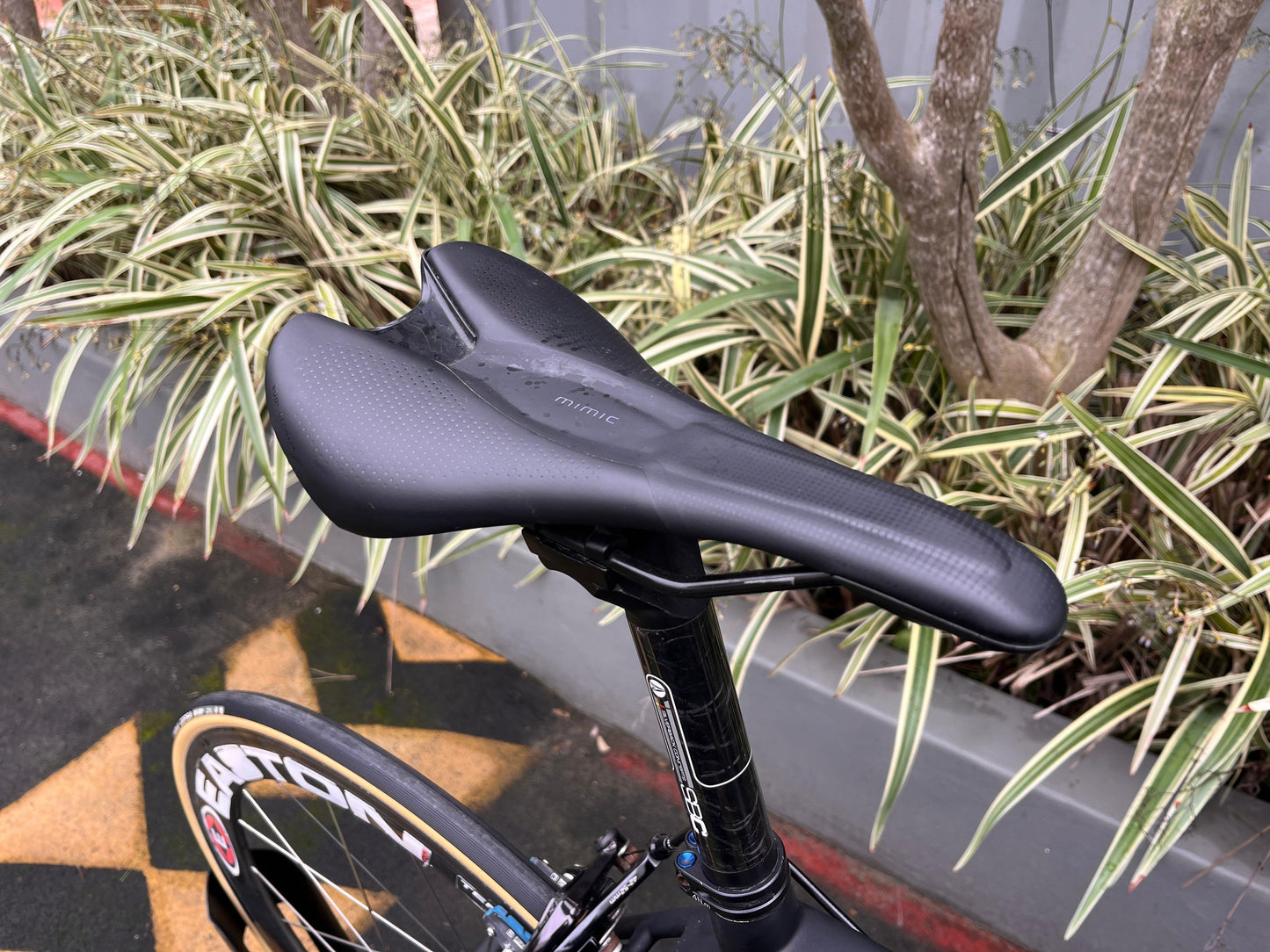Carbon Road Bike
